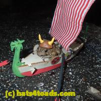 /home//u458753944/public_html/sourcegallery//Roxborough Toad Detour/2013-2019/2018/2018-02-21/P2210052.JPG